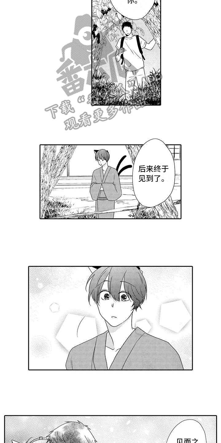 第20章：心意