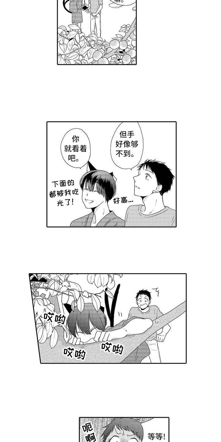 第3章：摘果子