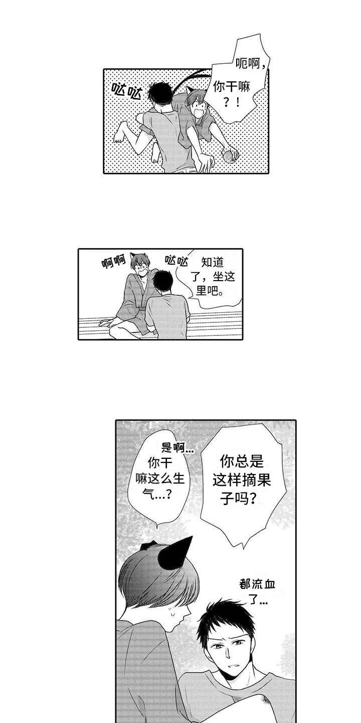 第3章：摘果子