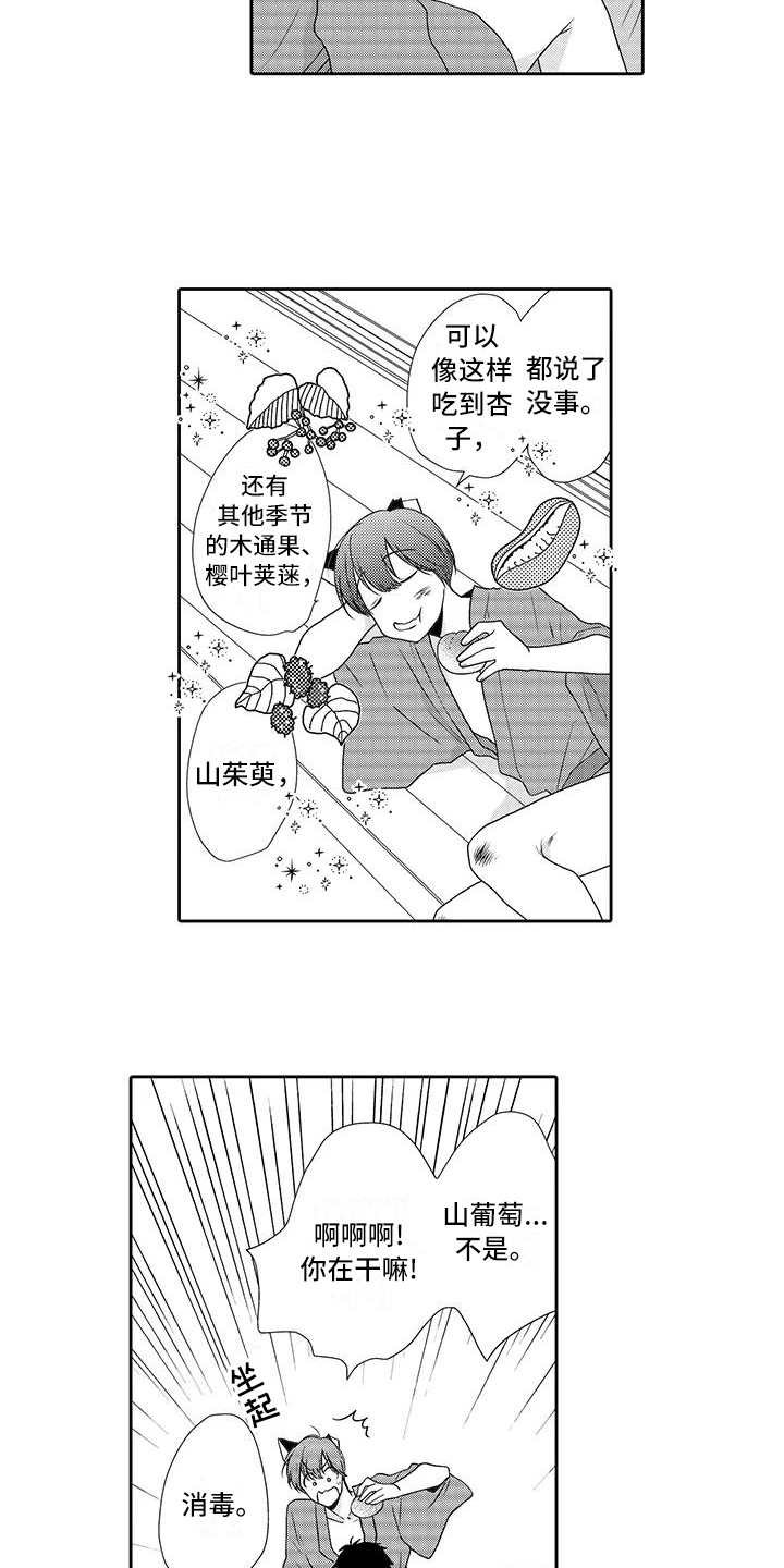 第3章：摘果子