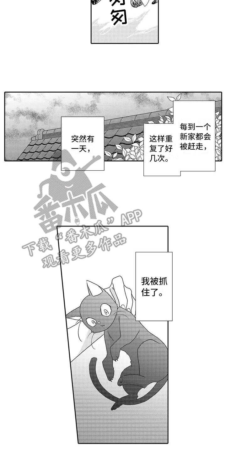 第4章：心情奇怪