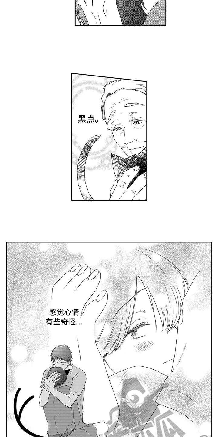 第4章：心情奇怪