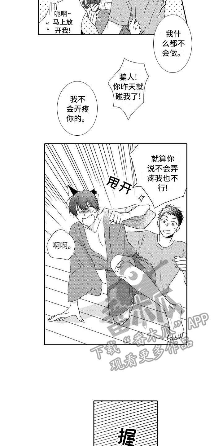 第5章：梯子