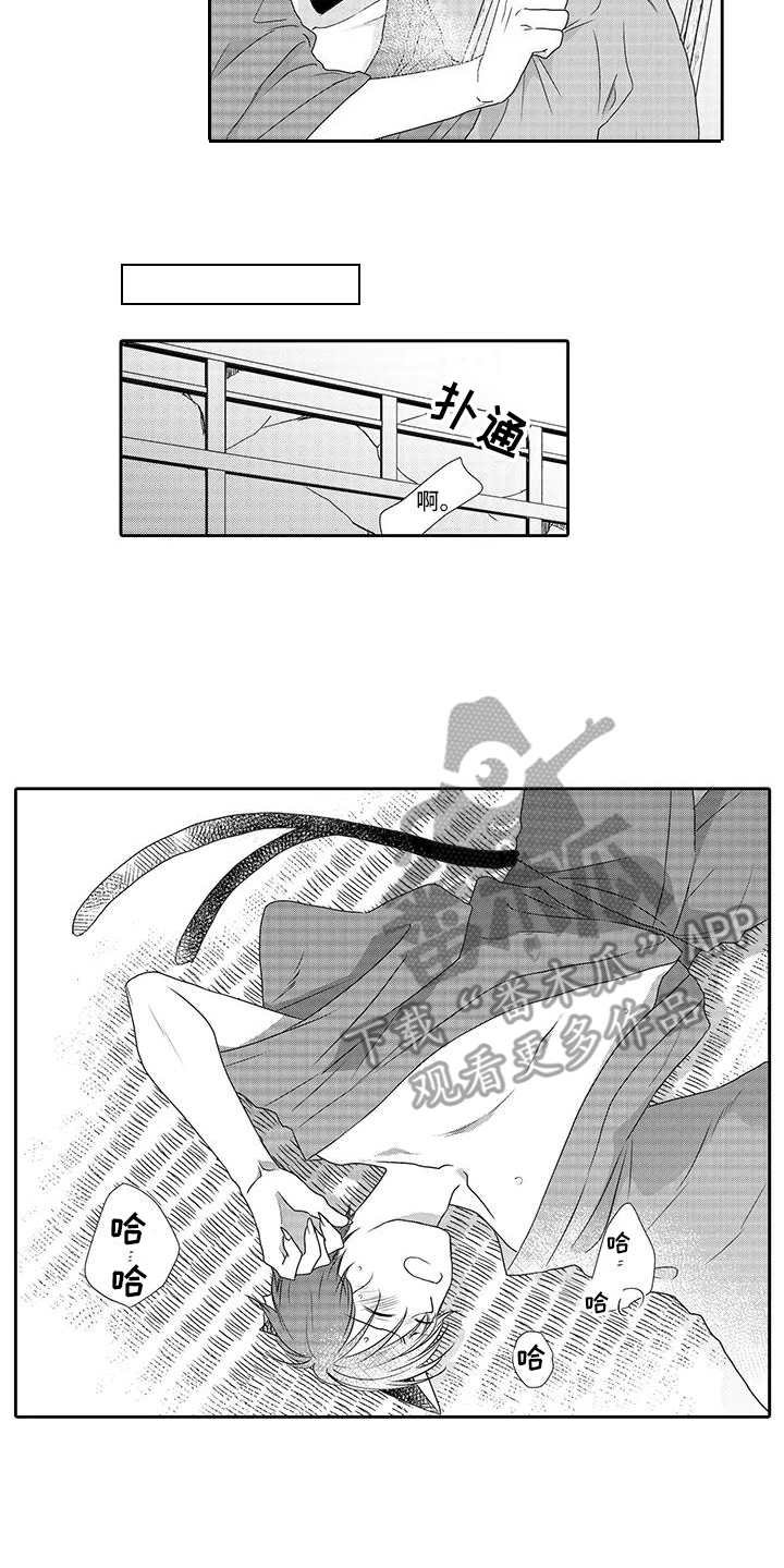 第5章：梯子