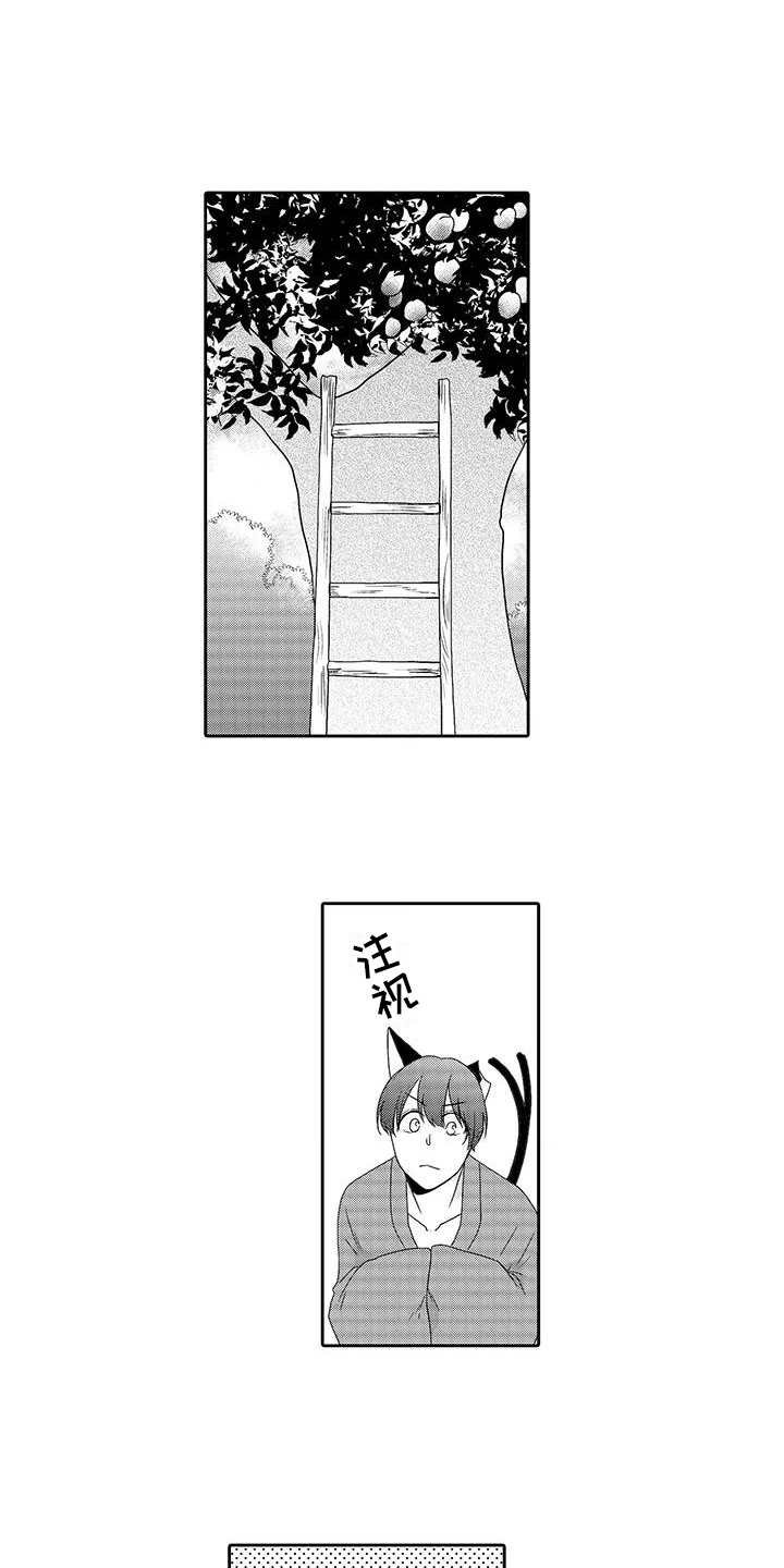 第5章：梯子