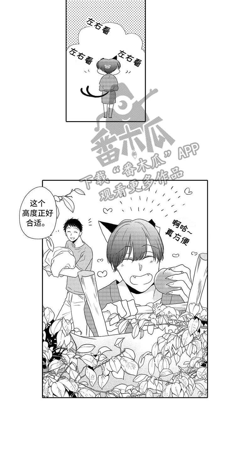 第5章：梯子