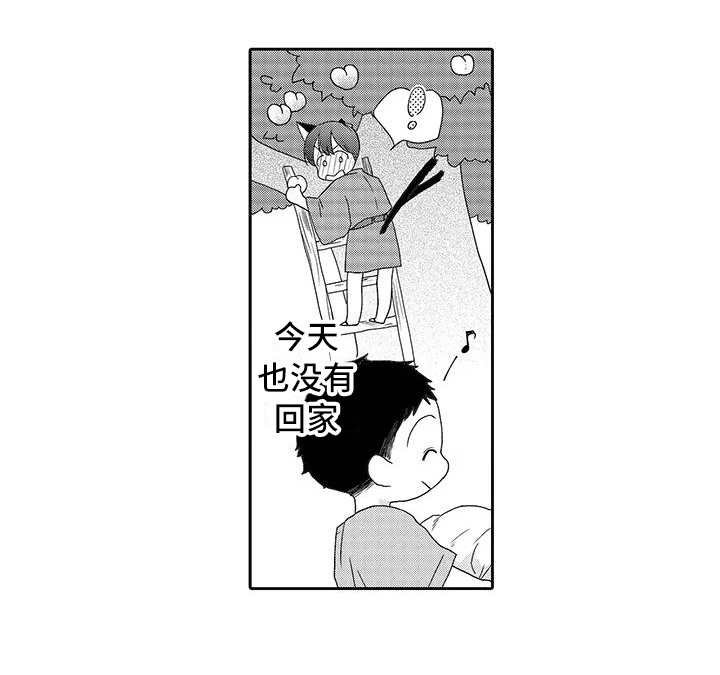 第5章：梯子
