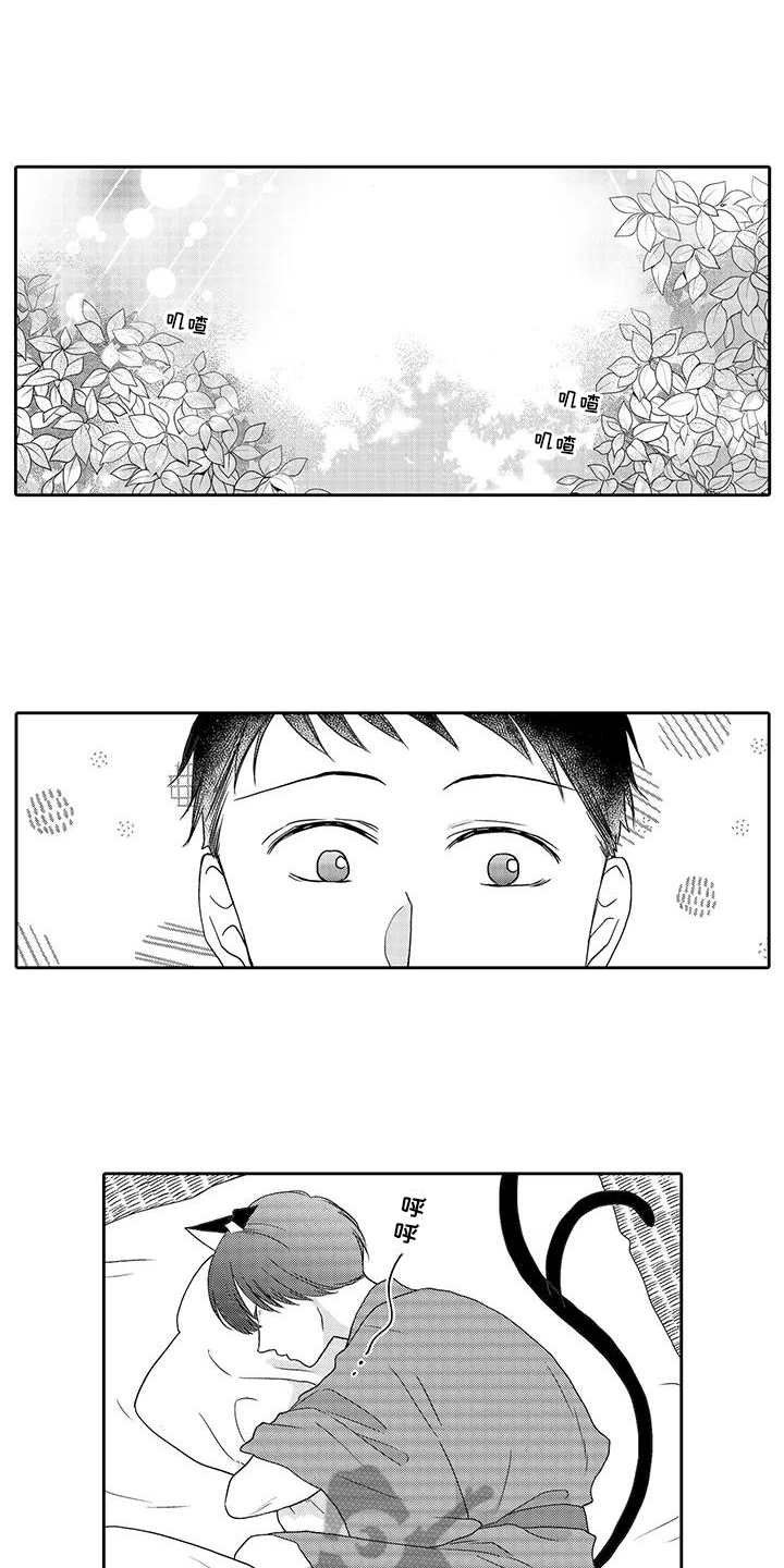 第6章：照顾
