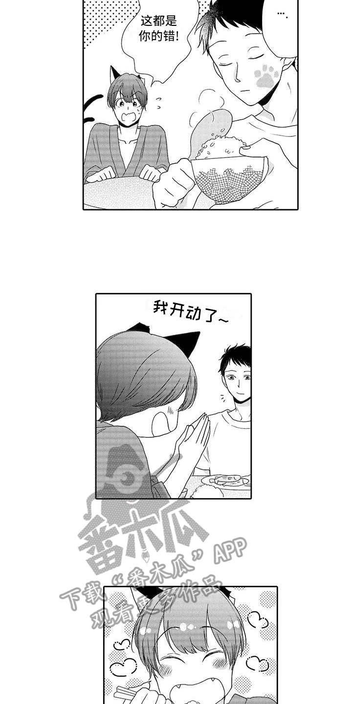 第6章：照顾