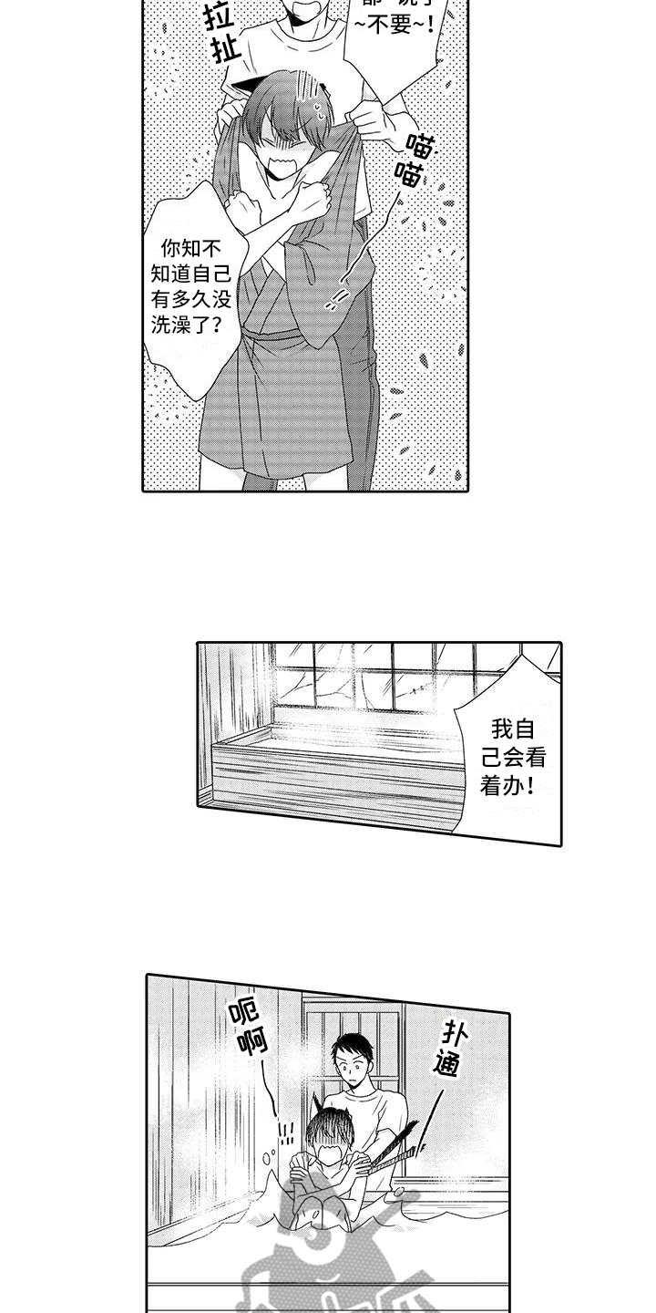 第6章：照顾