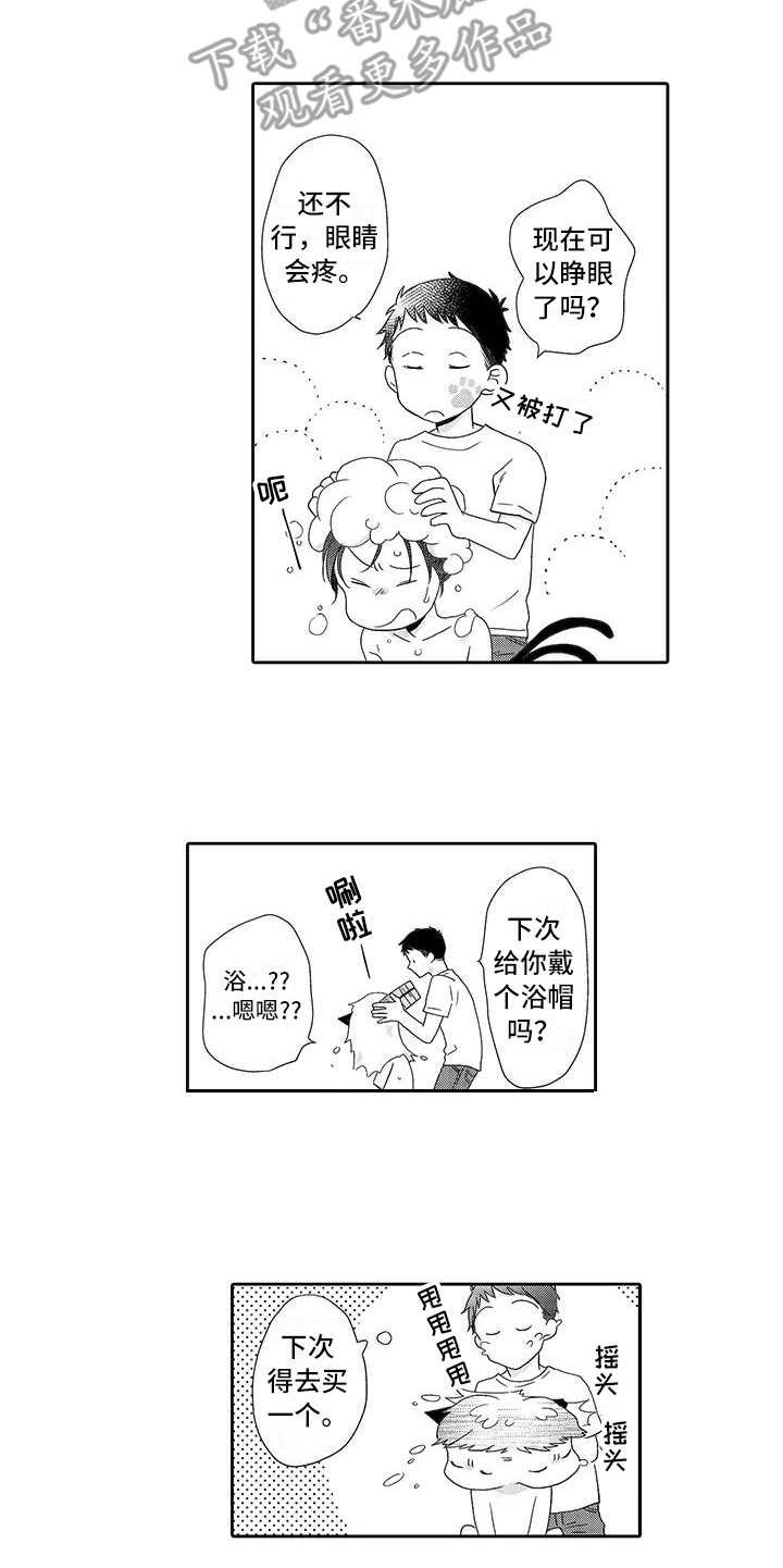 第6章：照顾