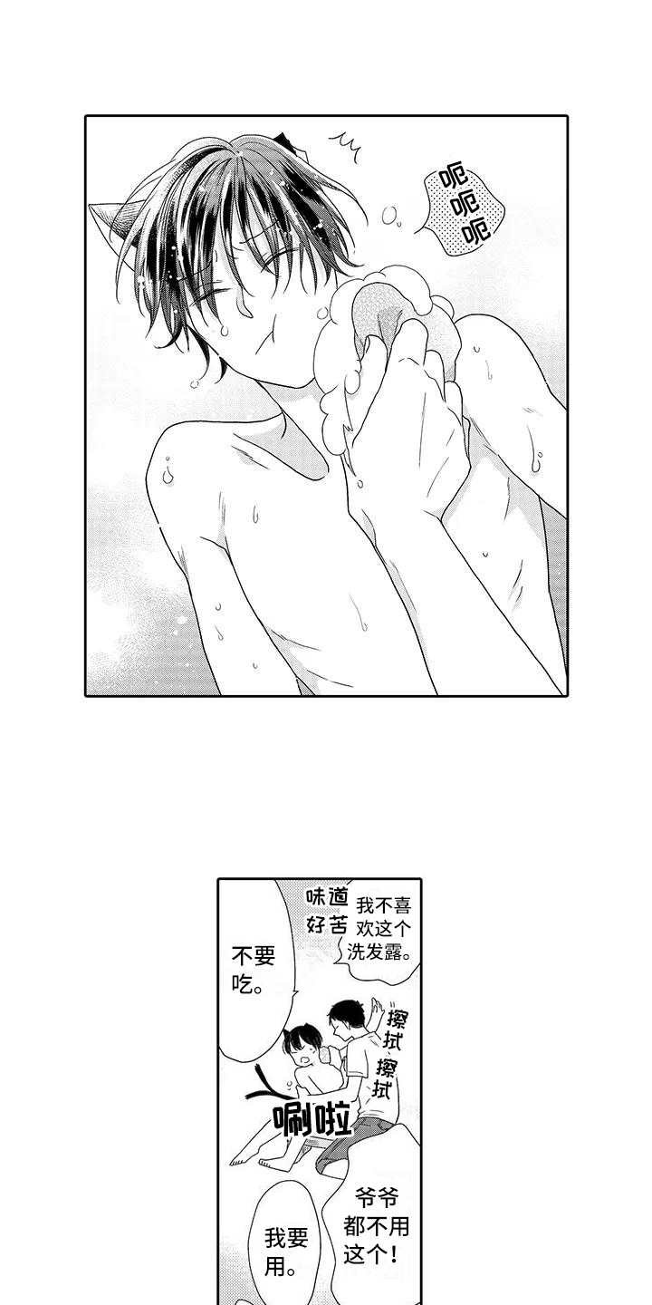 第7章：小精灵