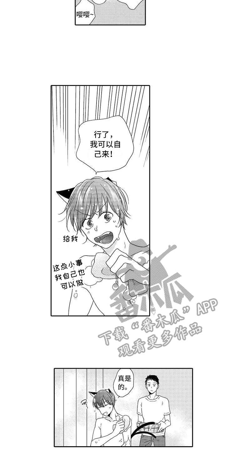 第7章：小精灵