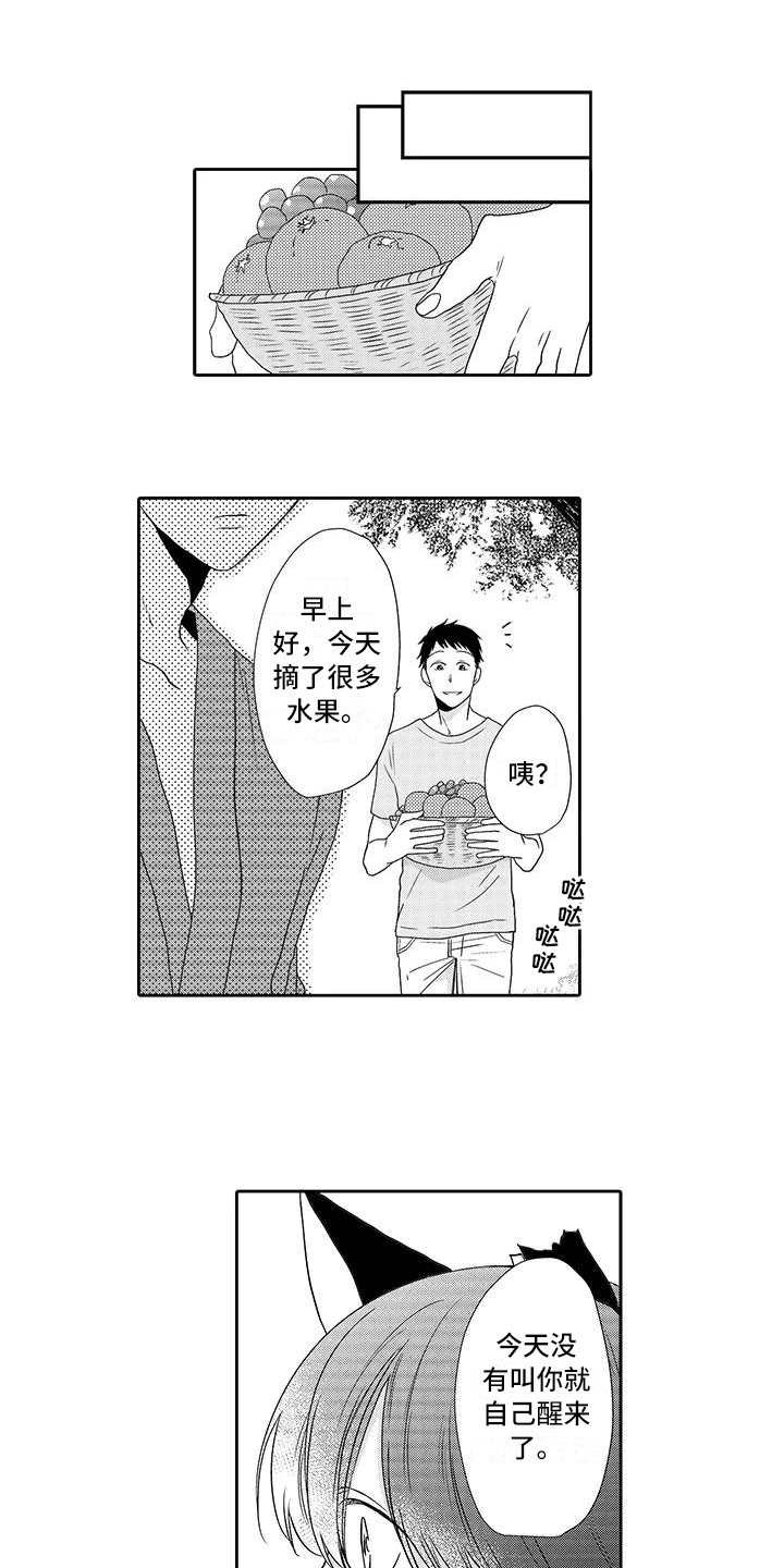 第7章：小精灵