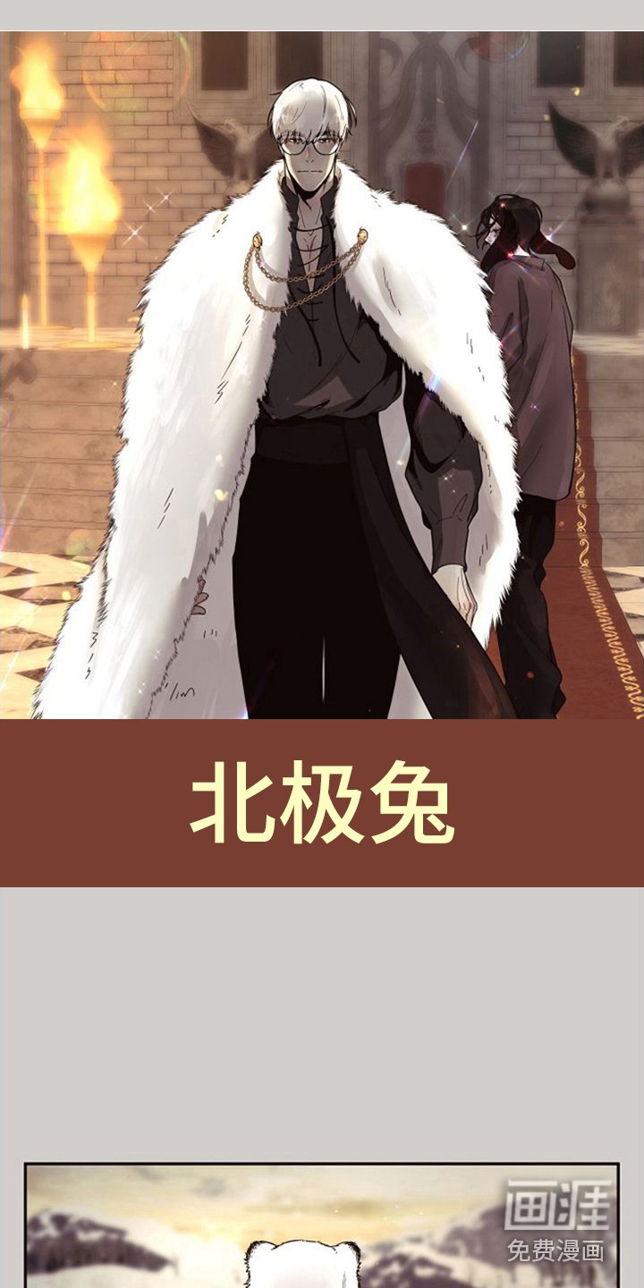第12章：北极兔：雪国