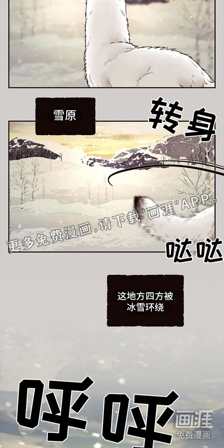 第12章：北极兔：雪国
