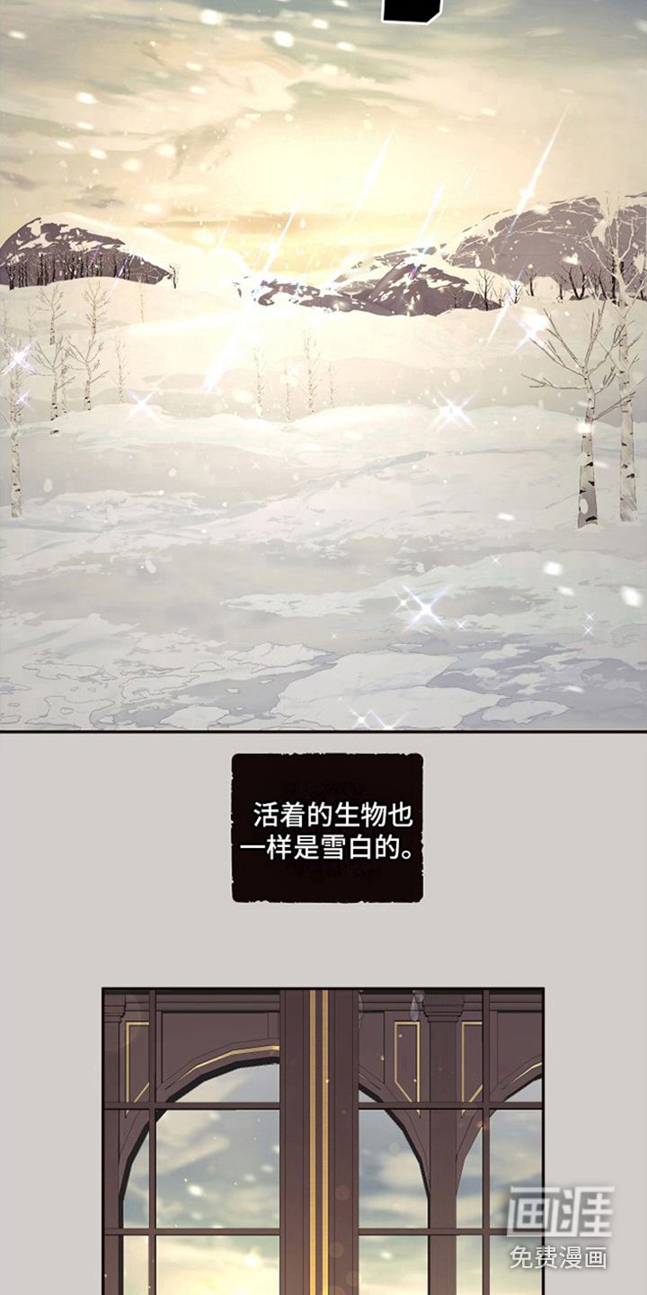 第12章：北极兔：雪国