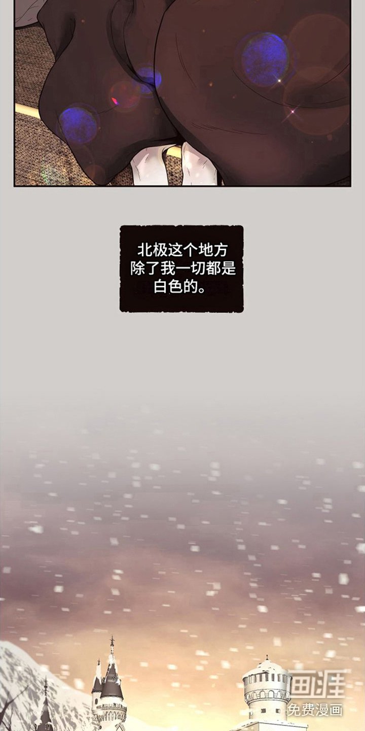 第12章：北极兔：雪国