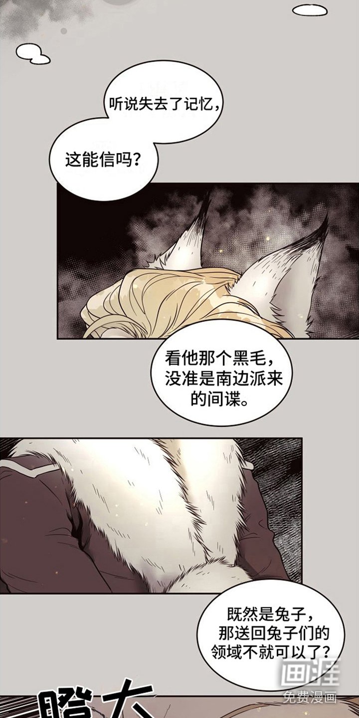 第12章：北极兔：雪国