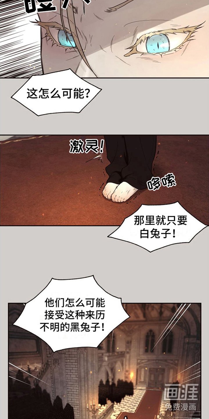 第12章：北极兔：雪国