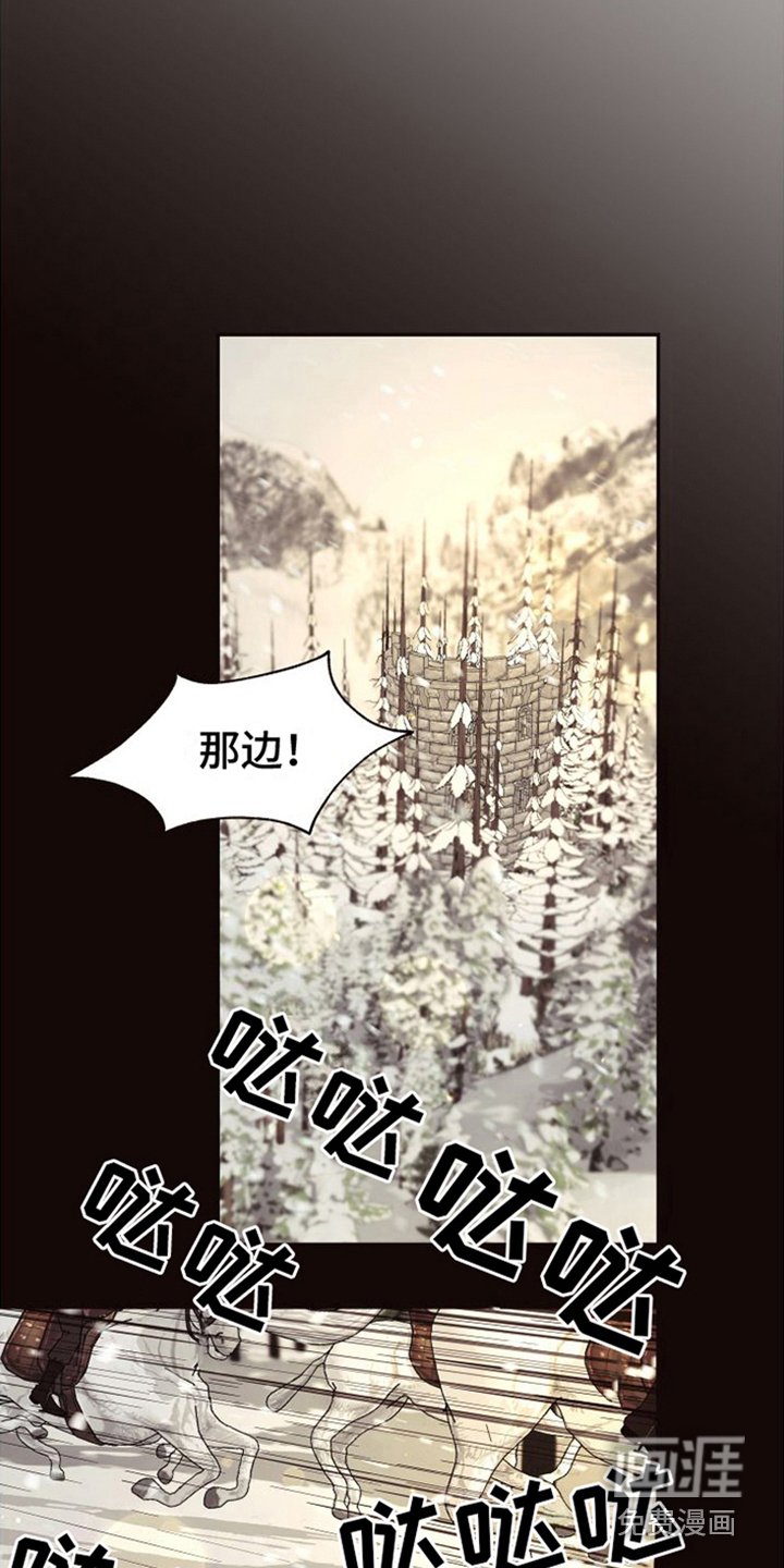 第13章：北极兔：支配者