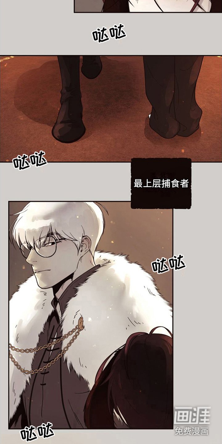 第13章：北极兔：支配者