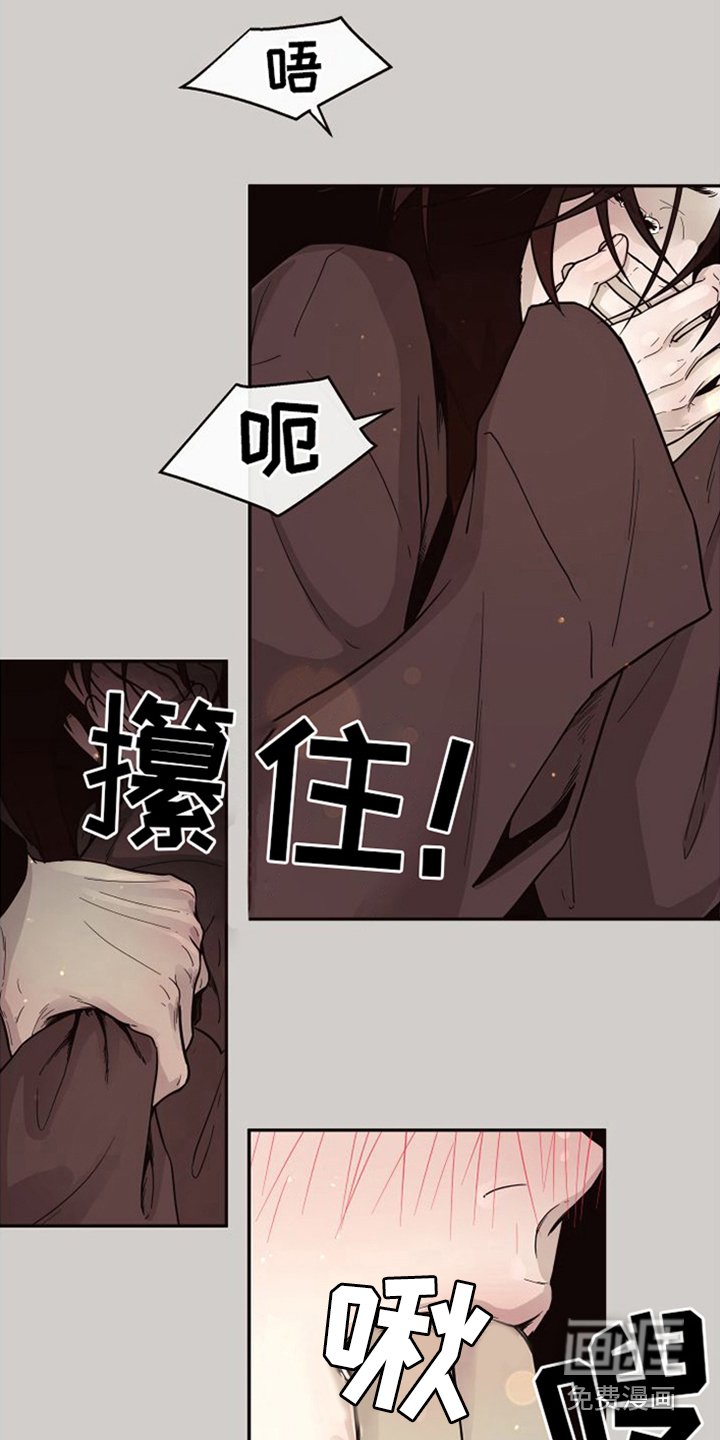 第14章：北极兔：跟随