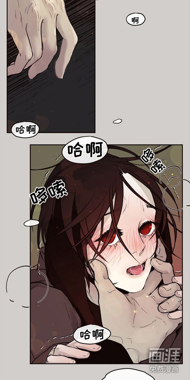 第14章：北极兔：跟随