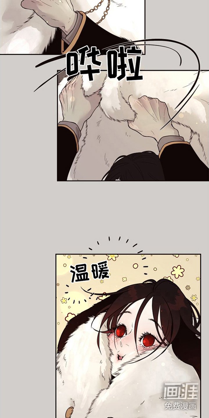 第14章：北极兔：跟随