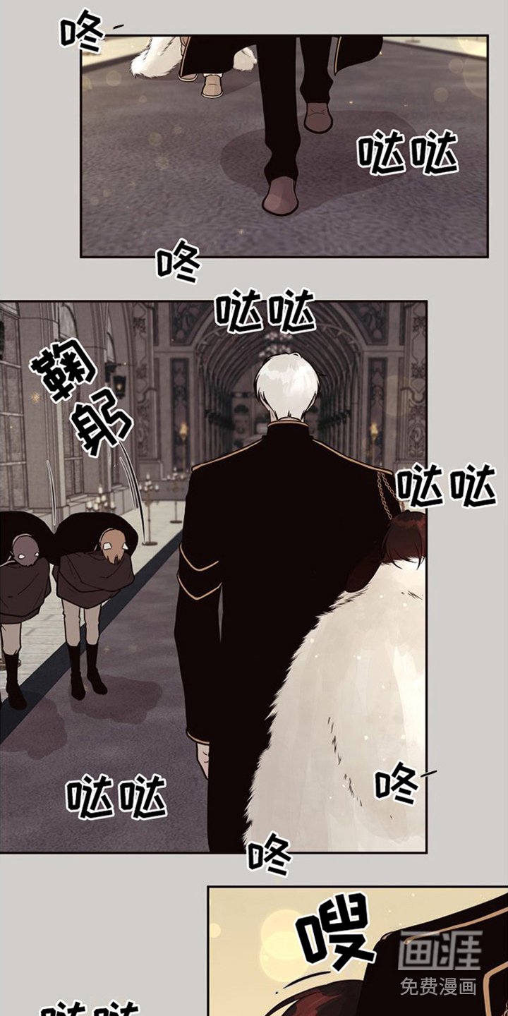 第14章：北极兔：跟随