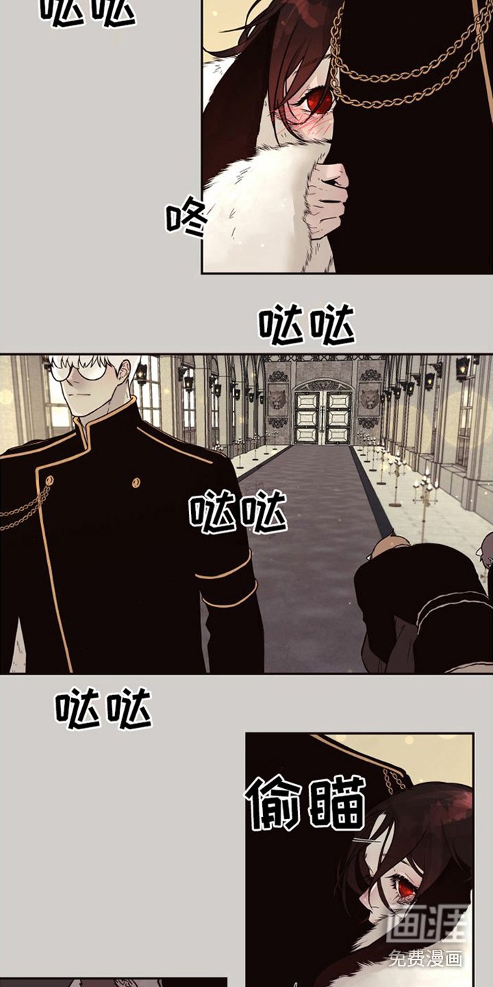 第14章：北极兔：跟随
