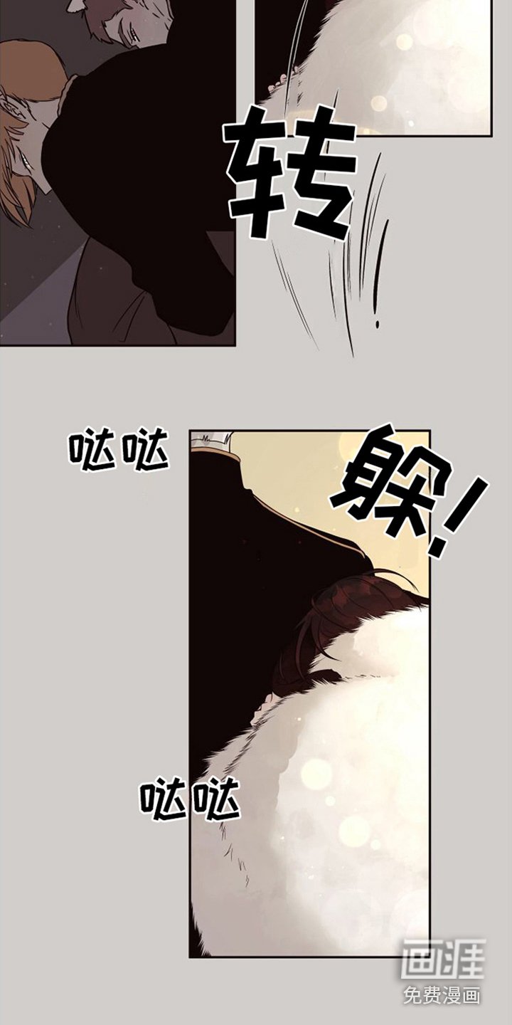 第14章：北极兔：跟随