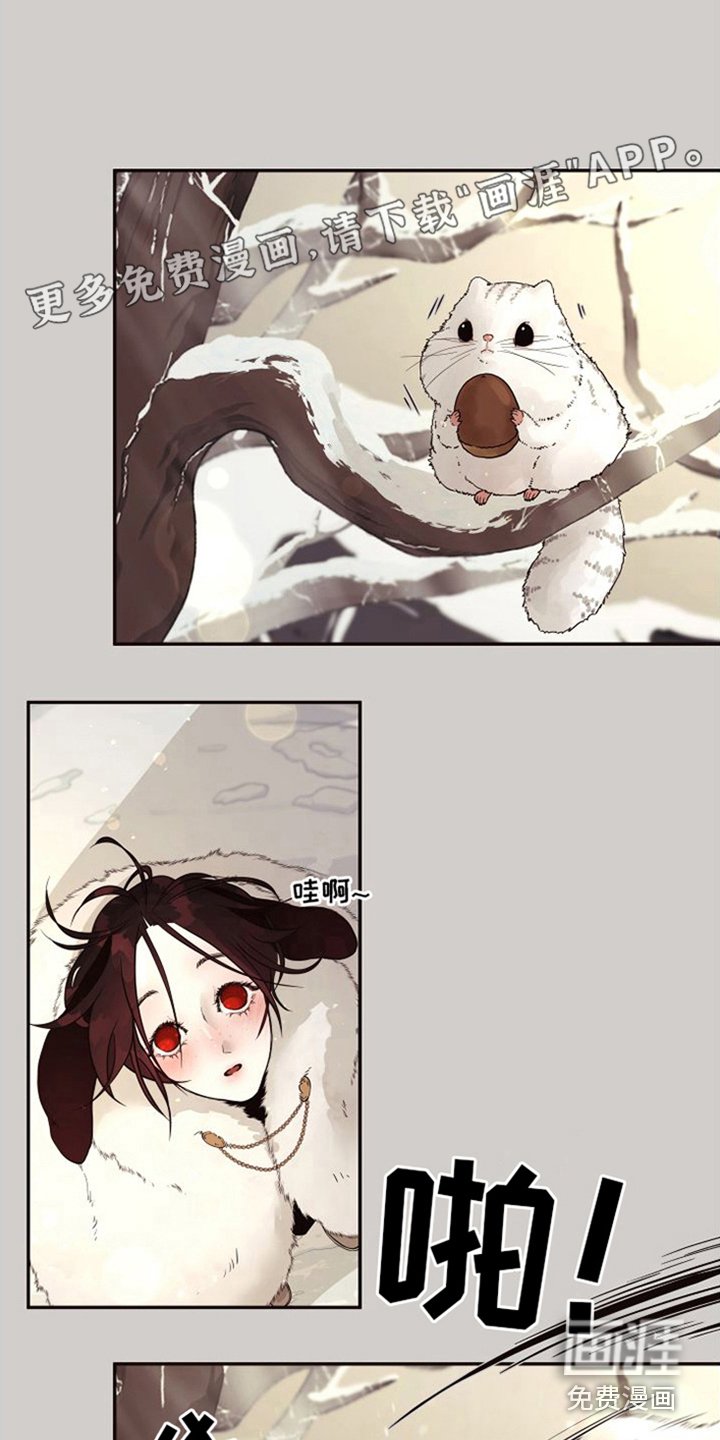 第15章：北极兔：选择权