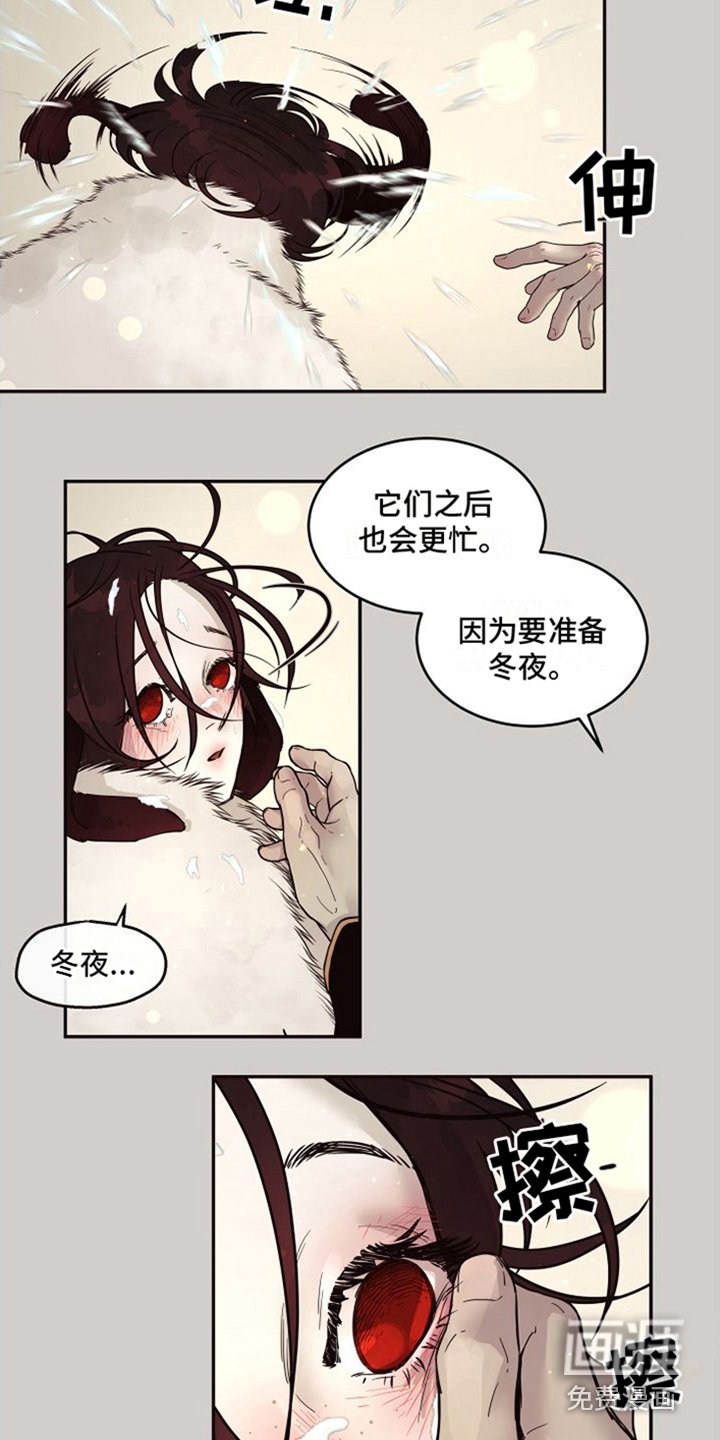 第15章：北极兔：选择权