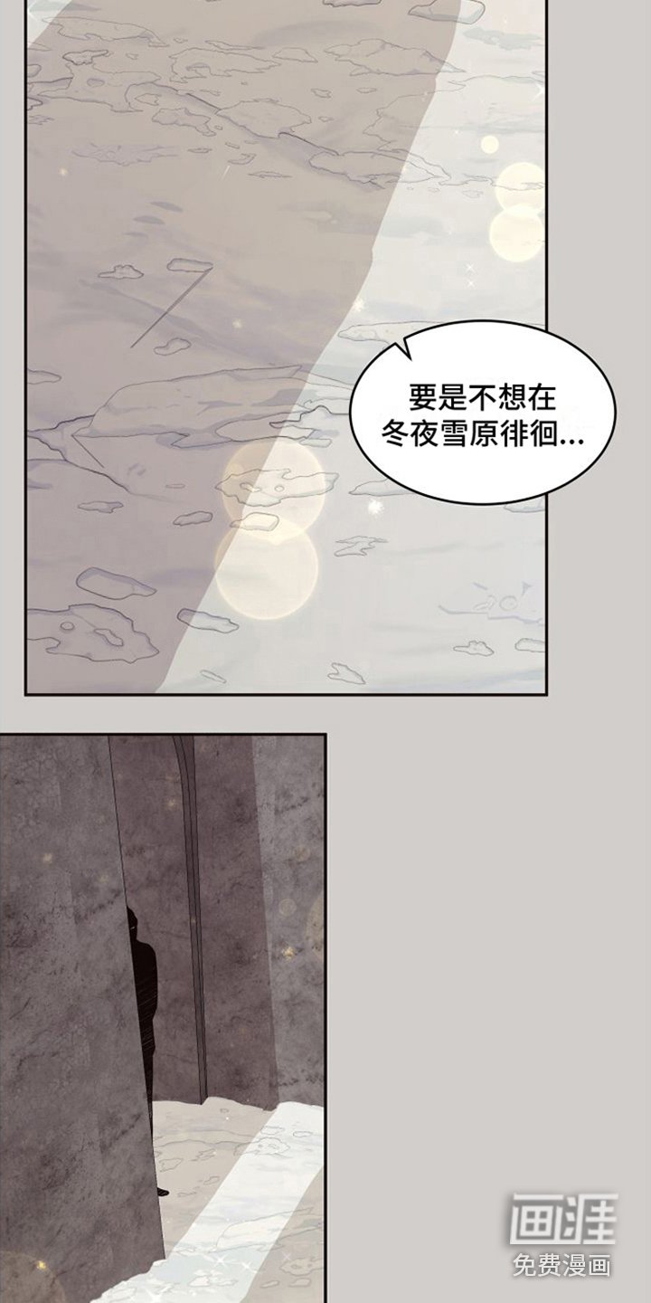 第15章：北极兔：选择权