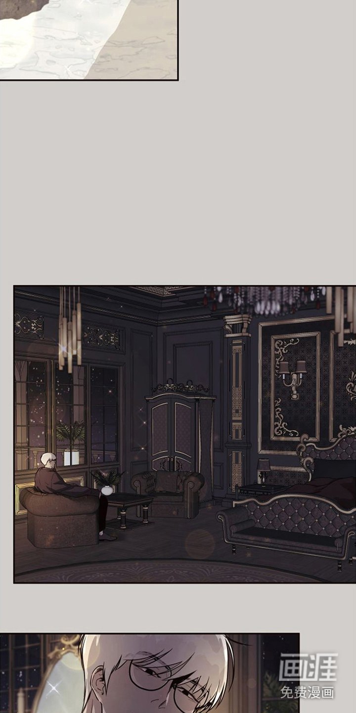 第15章：北极兔：选择权