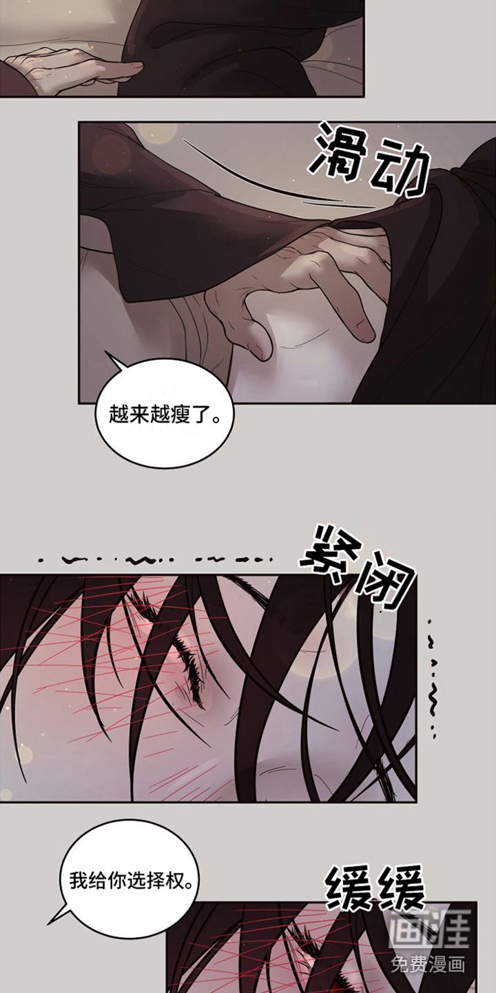 第15章：北极兔：选择权
