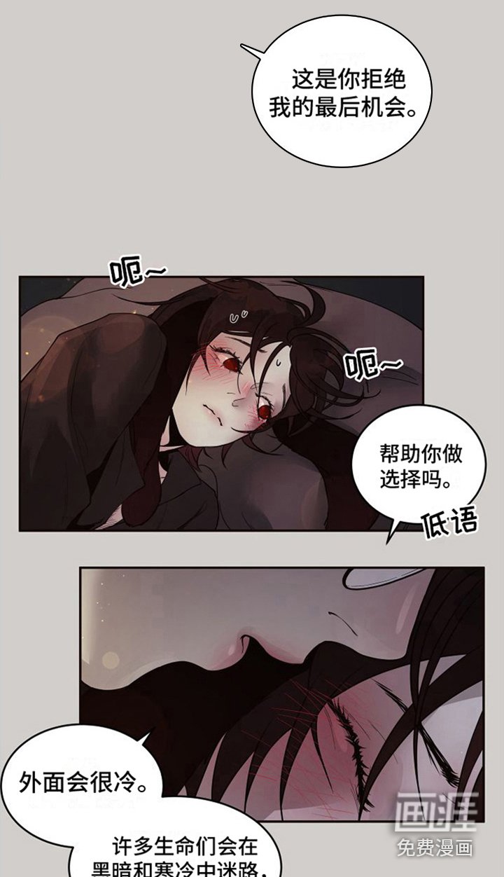 第15章：北极兔：选择权