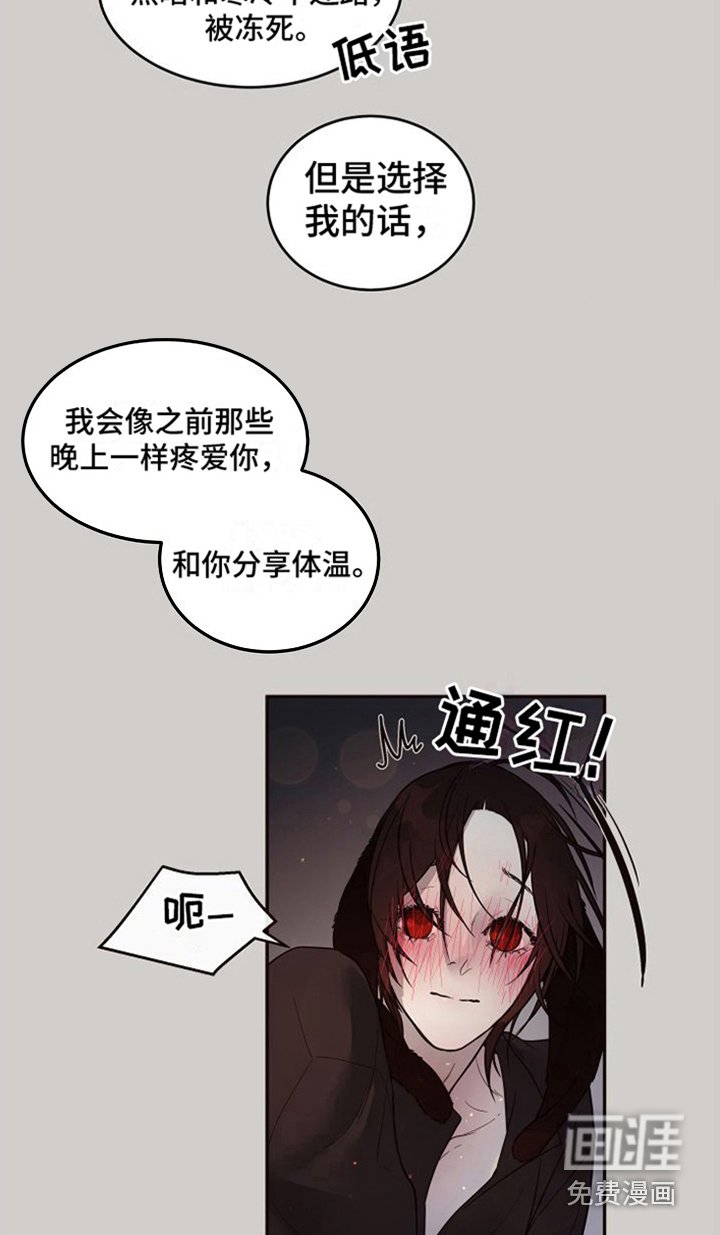 第15章：北极兔：选择权