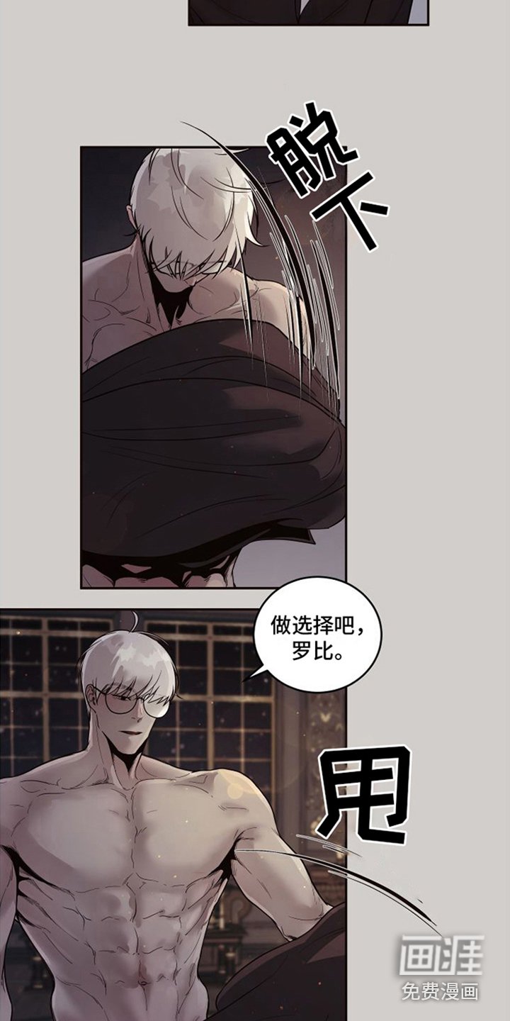 第15章：北极兔：选择权