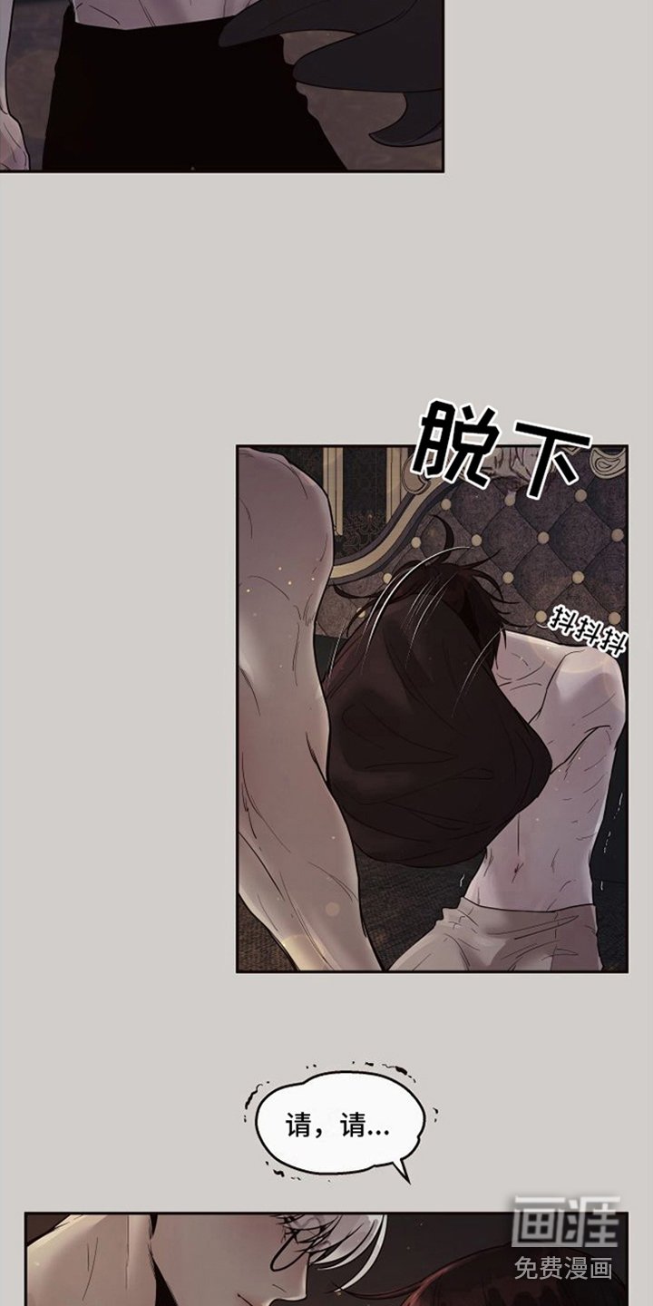 第15章：北极兔：选择权