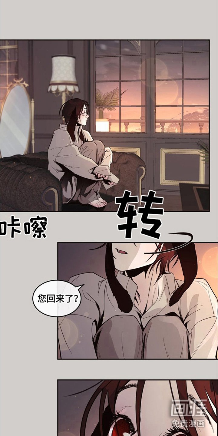 第16章： 北极兔：不安