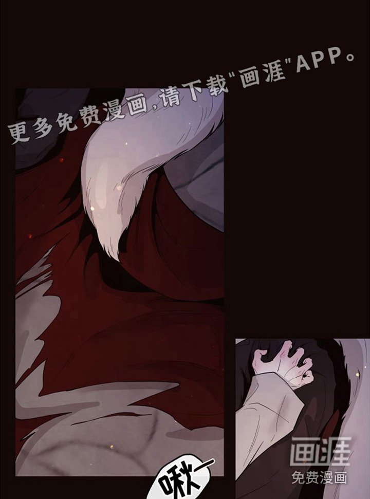第18章：北极兔：唯一的黑色（完）