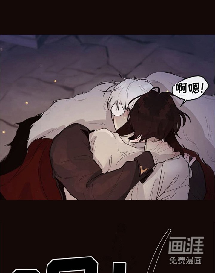 第18章：北极兔：唯一的黑色（完）