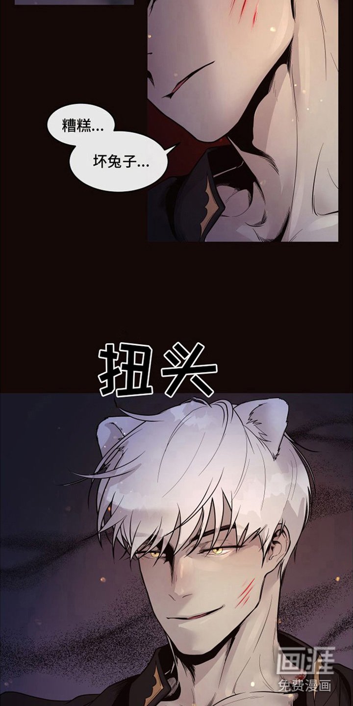 第18章：北极兔：唯一的黑色（完）