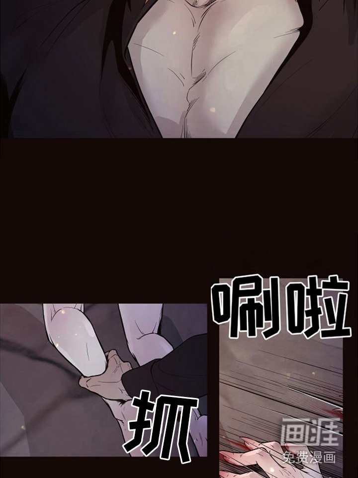 第18章：北极兔：唯一的黑色（完）