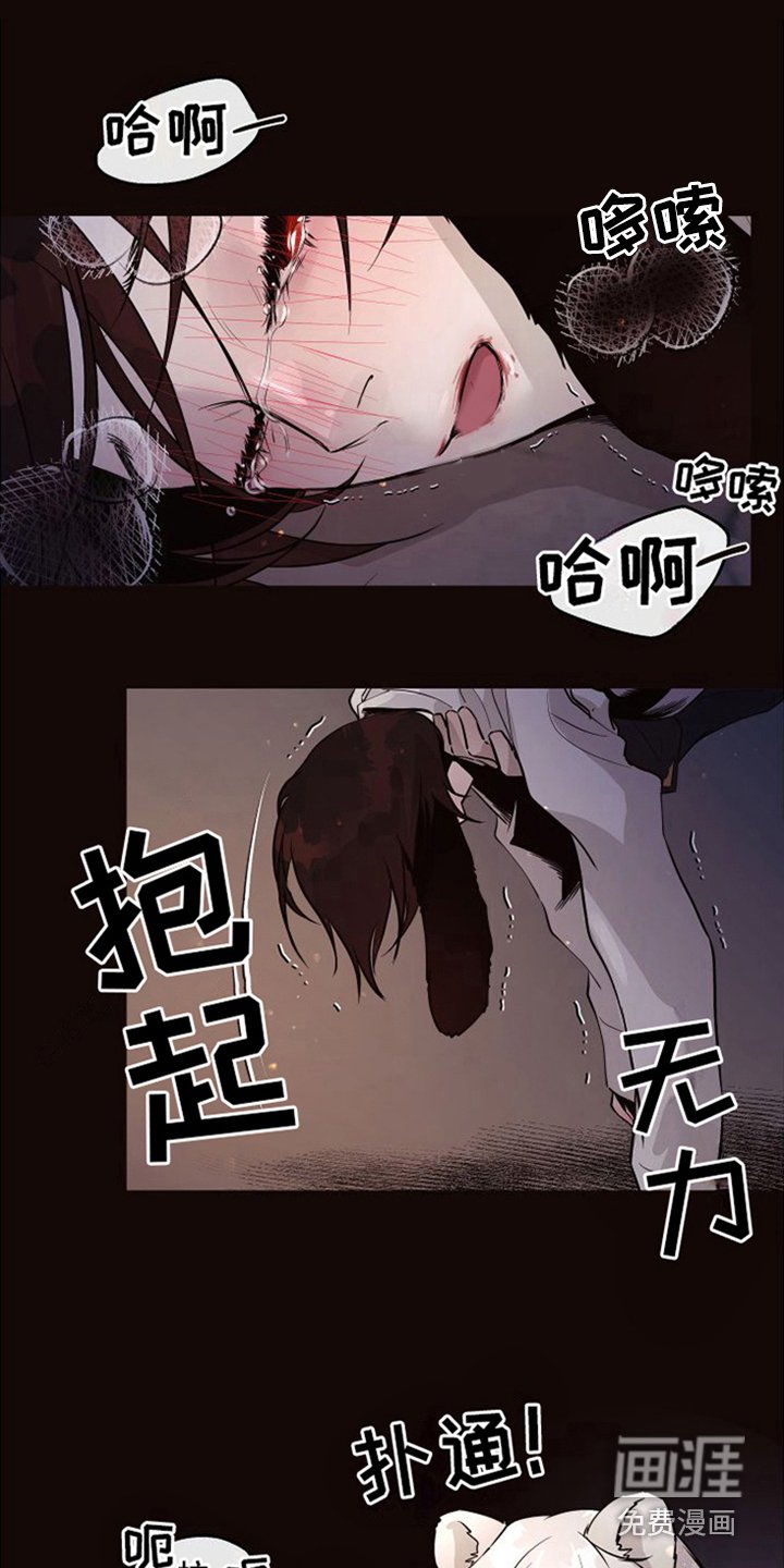 第18章：北极兔：唯一的黑色（完）