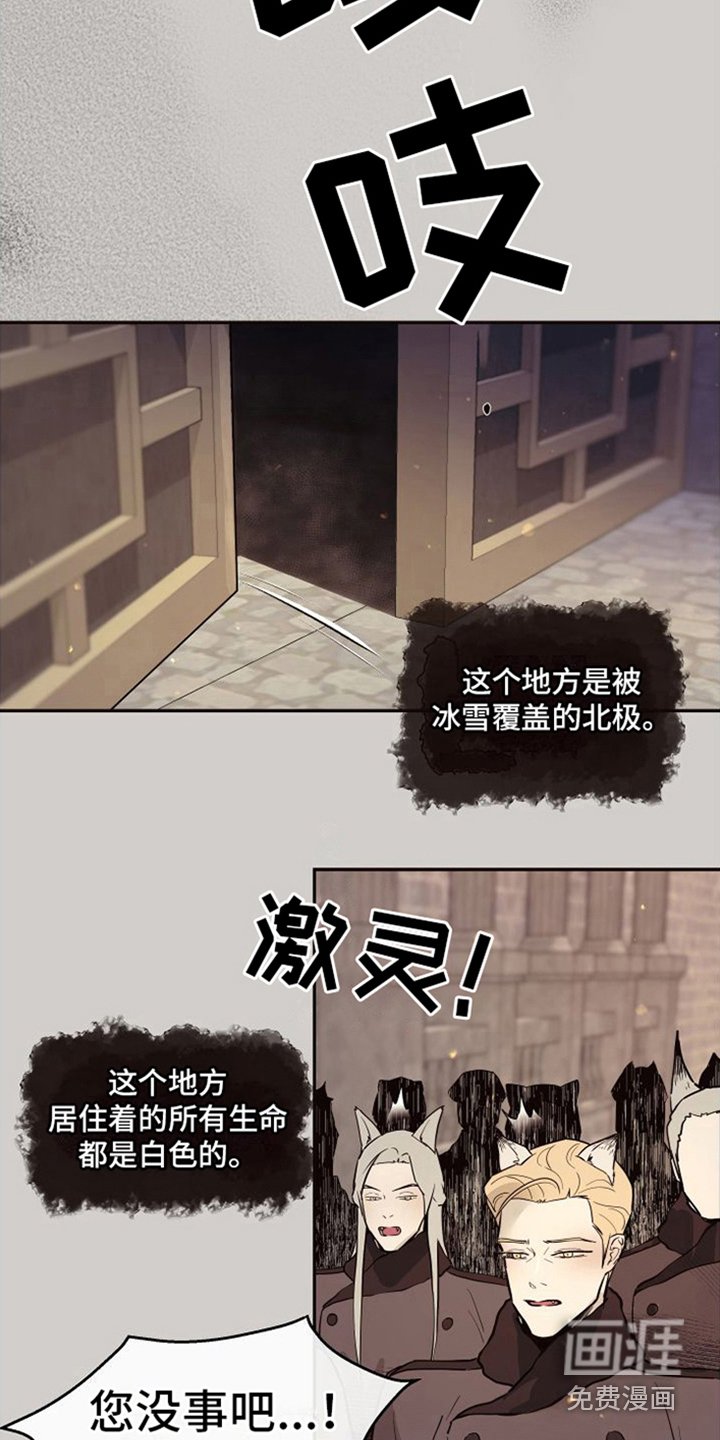 第18章：北极兔：唯一的黑色（完）