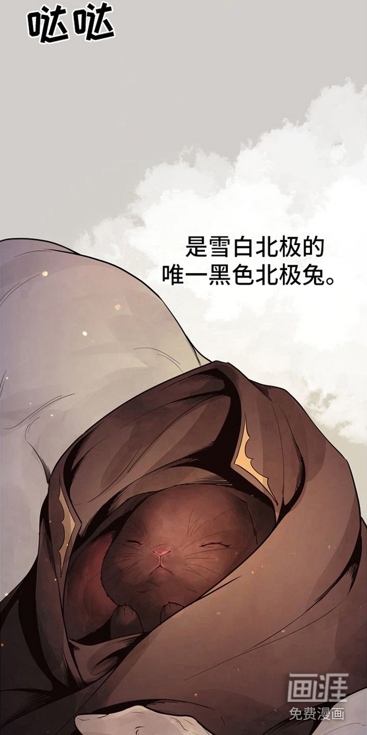 第18章：北极兔：唯一的黑色（完）