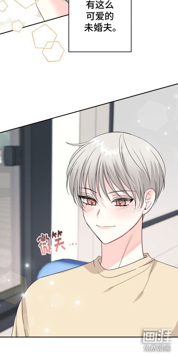 第19章：订婚骗局：未婚夫